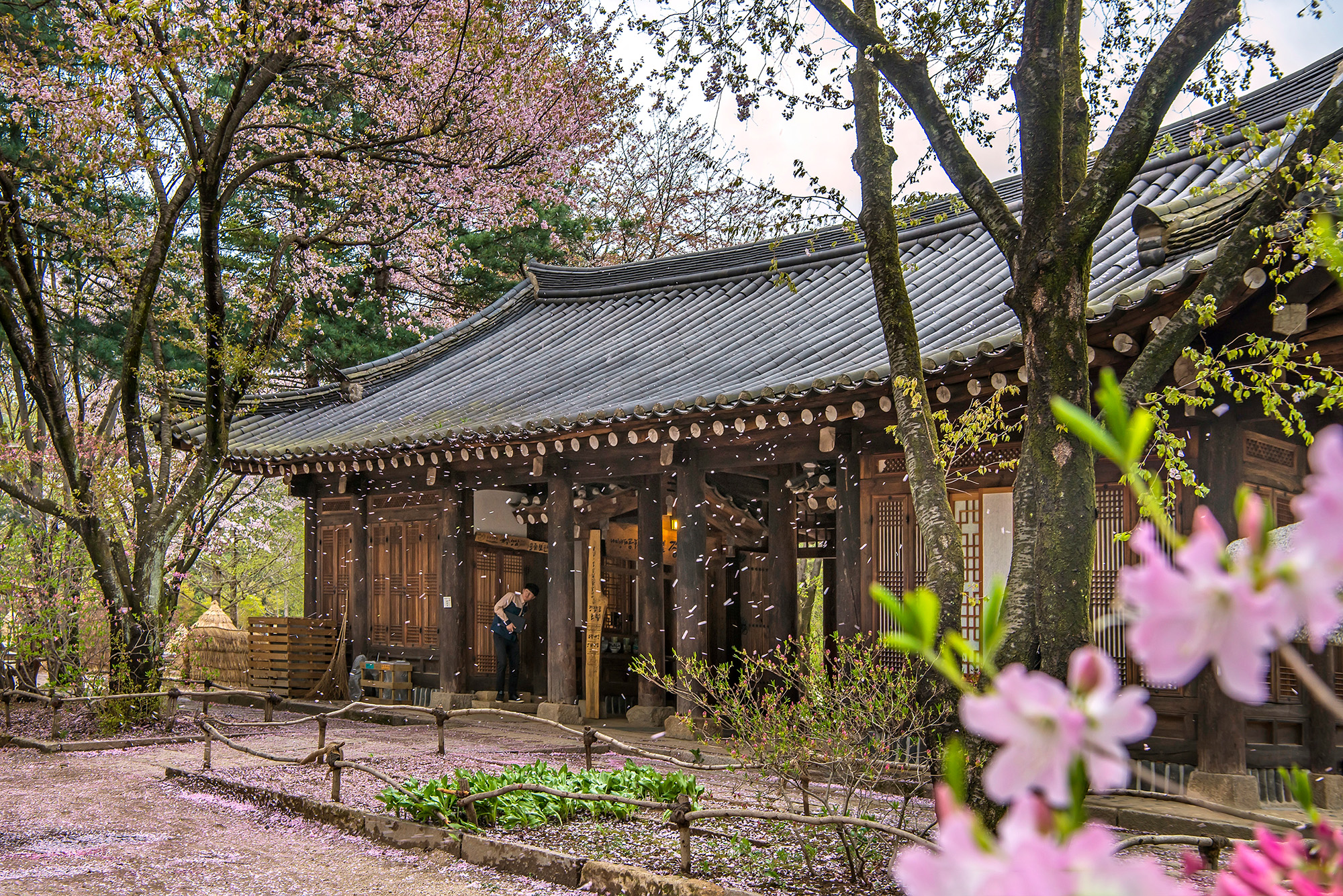 Nami Island Day Tours with Petite France & Italian Village (Opt. Railbike) - Photo 1 of 10